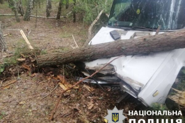 Кадри з місця події. Фото: Поліція Київщини