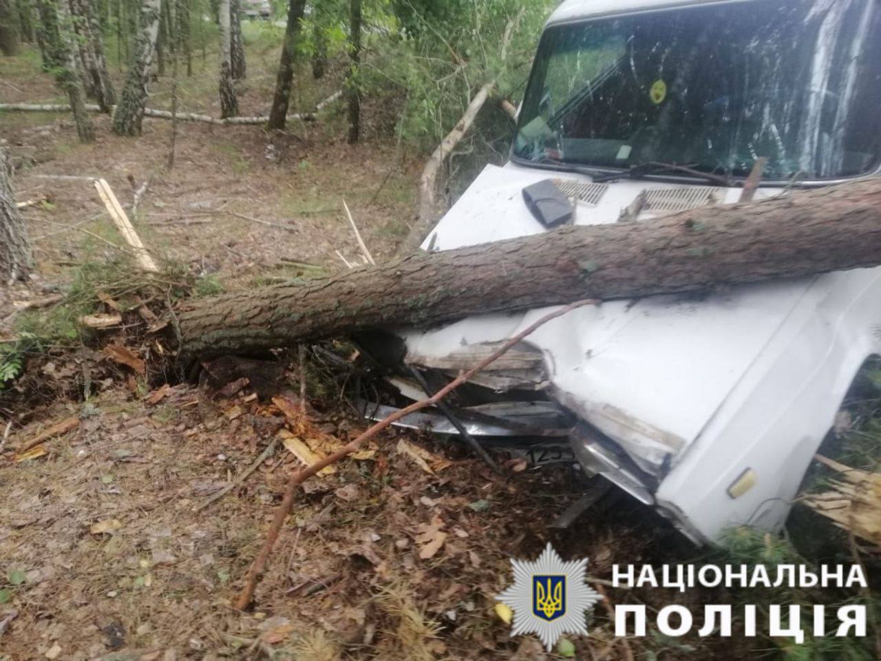 Кадри з місця події. Фото: Поліція Київщини