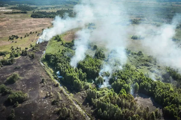 Пожежа в Амбрамівці. Фото: ДСНС Київської області