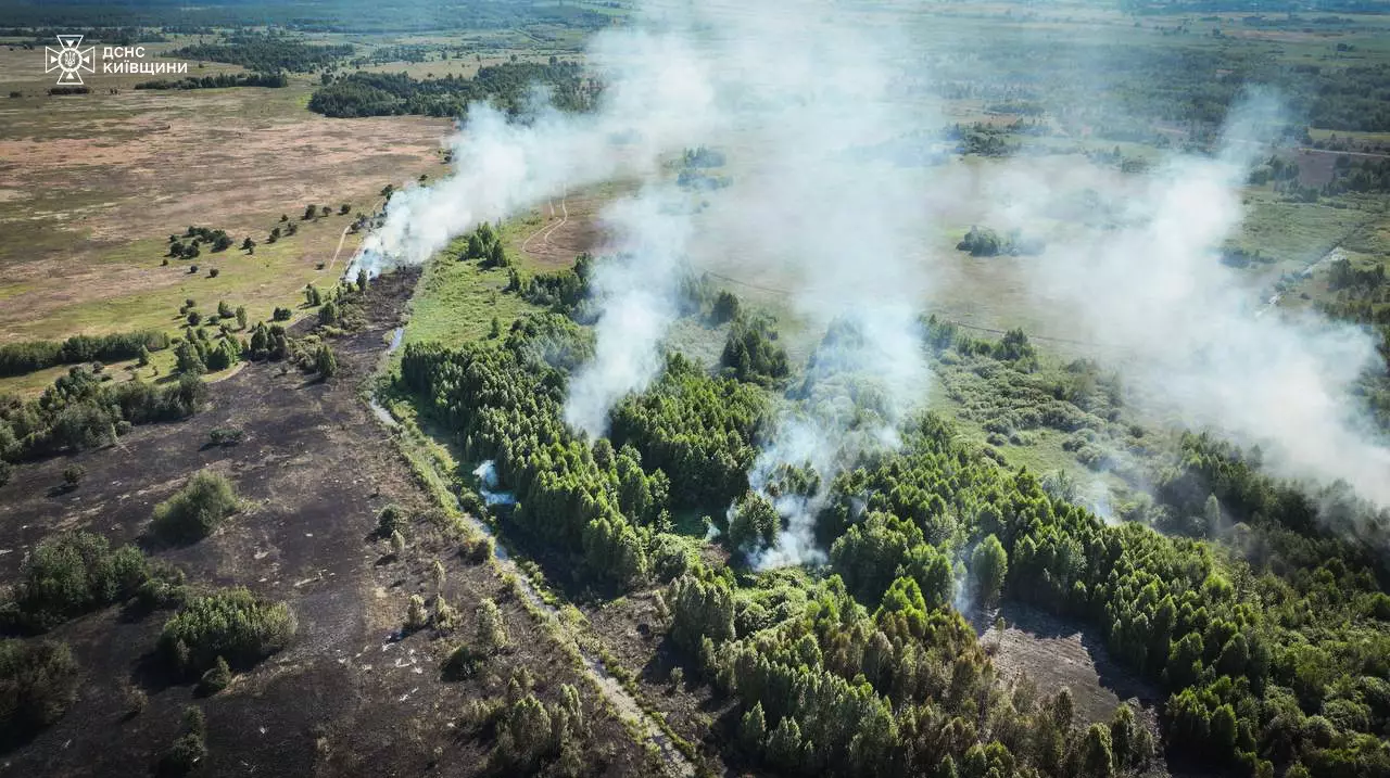 Пожежа в Амбрамівці. Фото: ДСНС Київської області