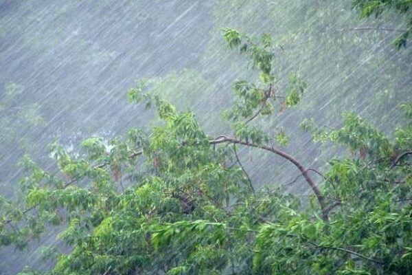 Метеорологічний прогноз для Вишгорода на найближчі 4 дні - холодна погода з дощами