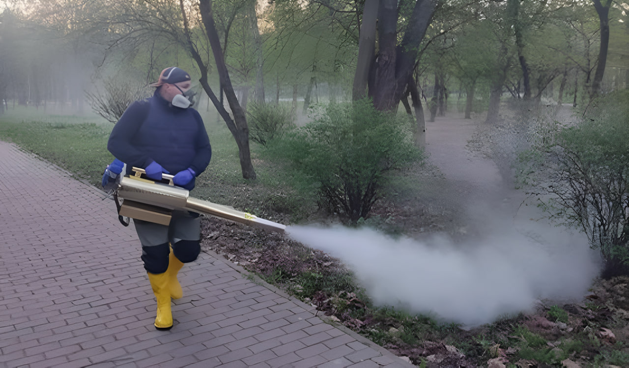 У Вишгороді відбудеться акарицидна обробка - всі подробиці