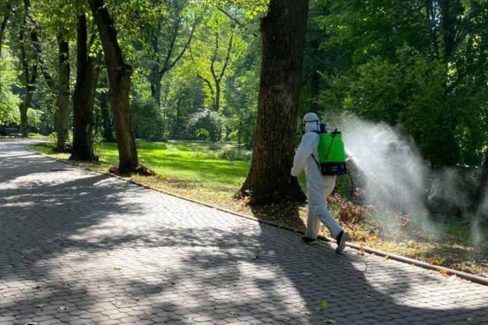 Зміни в графіку обробки зелених територій Вишгорода - подробиці