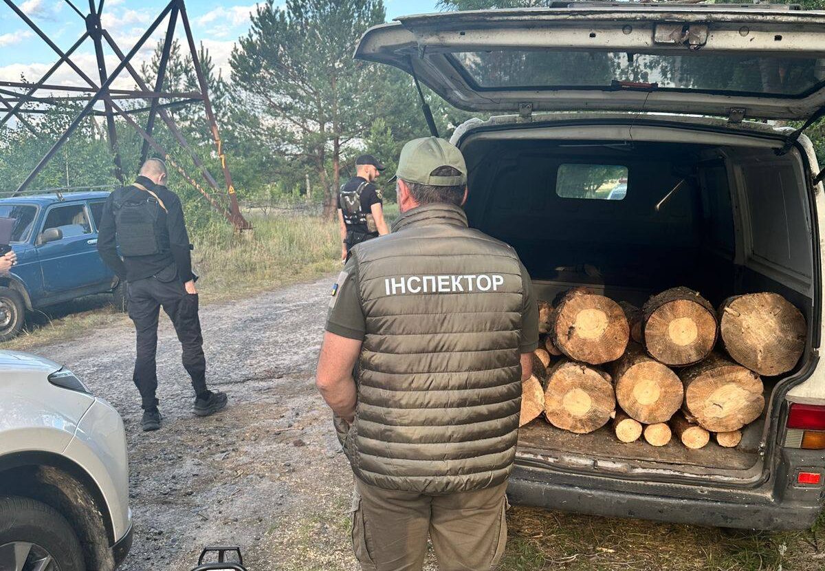 У Ясногородці лісничі незаконно зрубали сосни