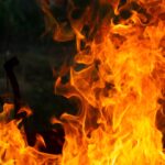На Київщині оголосили пожежну небезпеку – усі подробиці