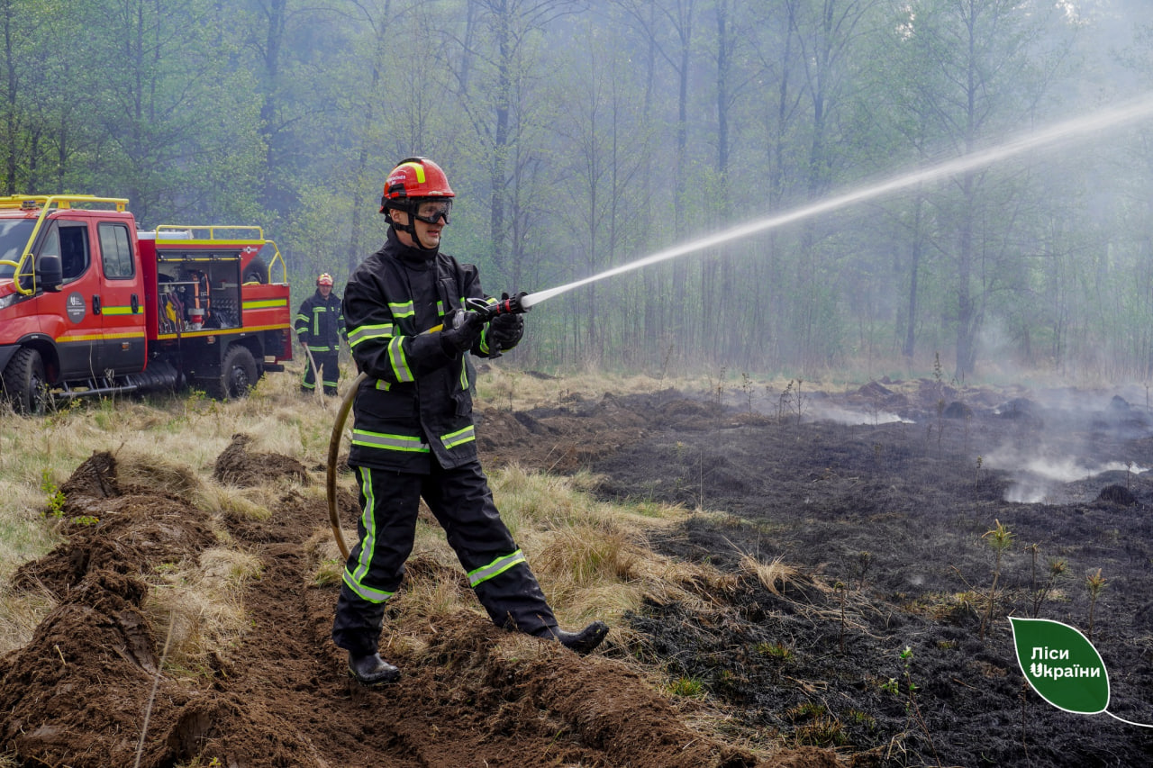 У Димерському надлісництві цього року сталося найбільше вигорань в регіоні