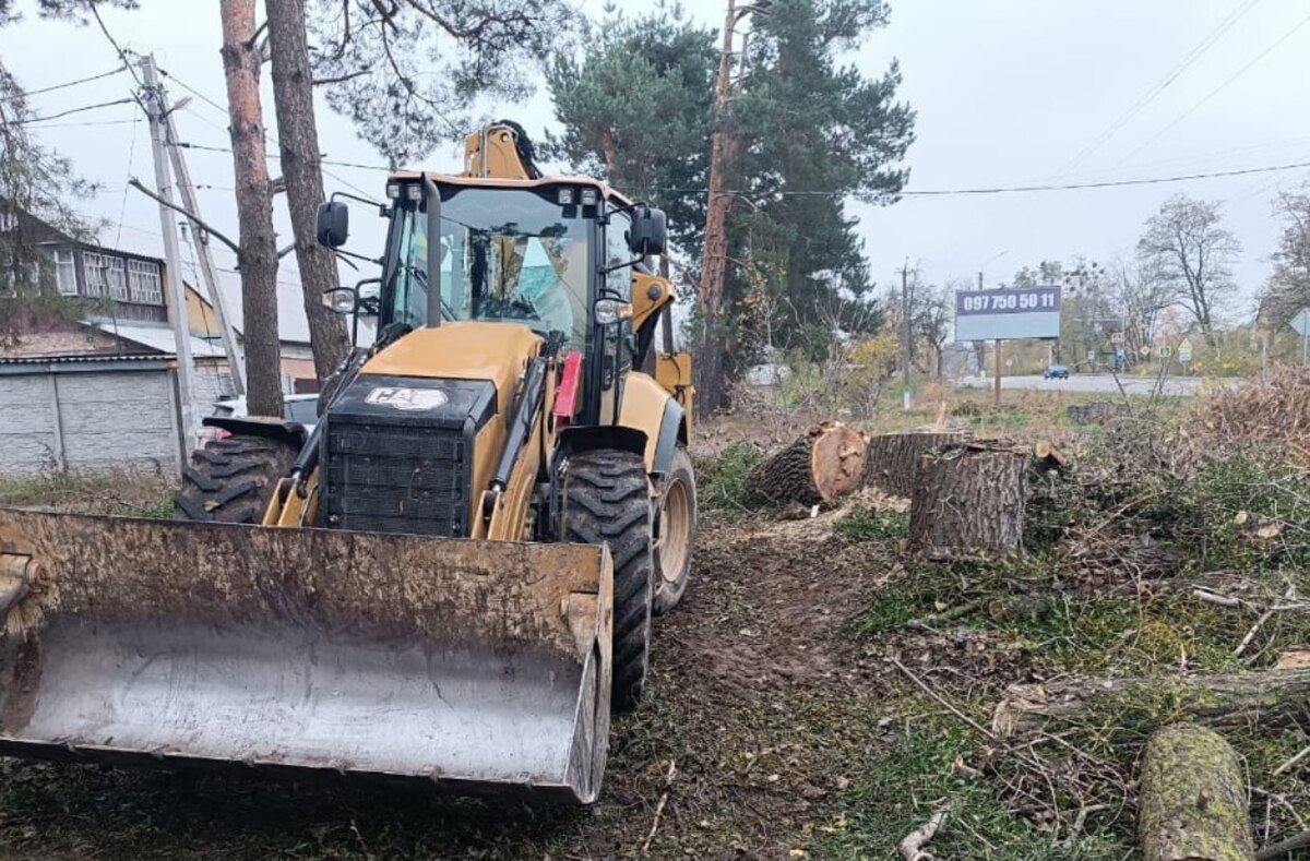 У Старих Петрівцях виявлено незаконну вирубку дерев