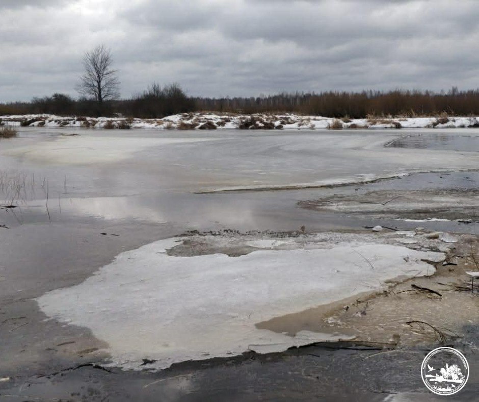 Прогноз водопілля у заповіднику Чорнобиля: нижче багаторічних показників