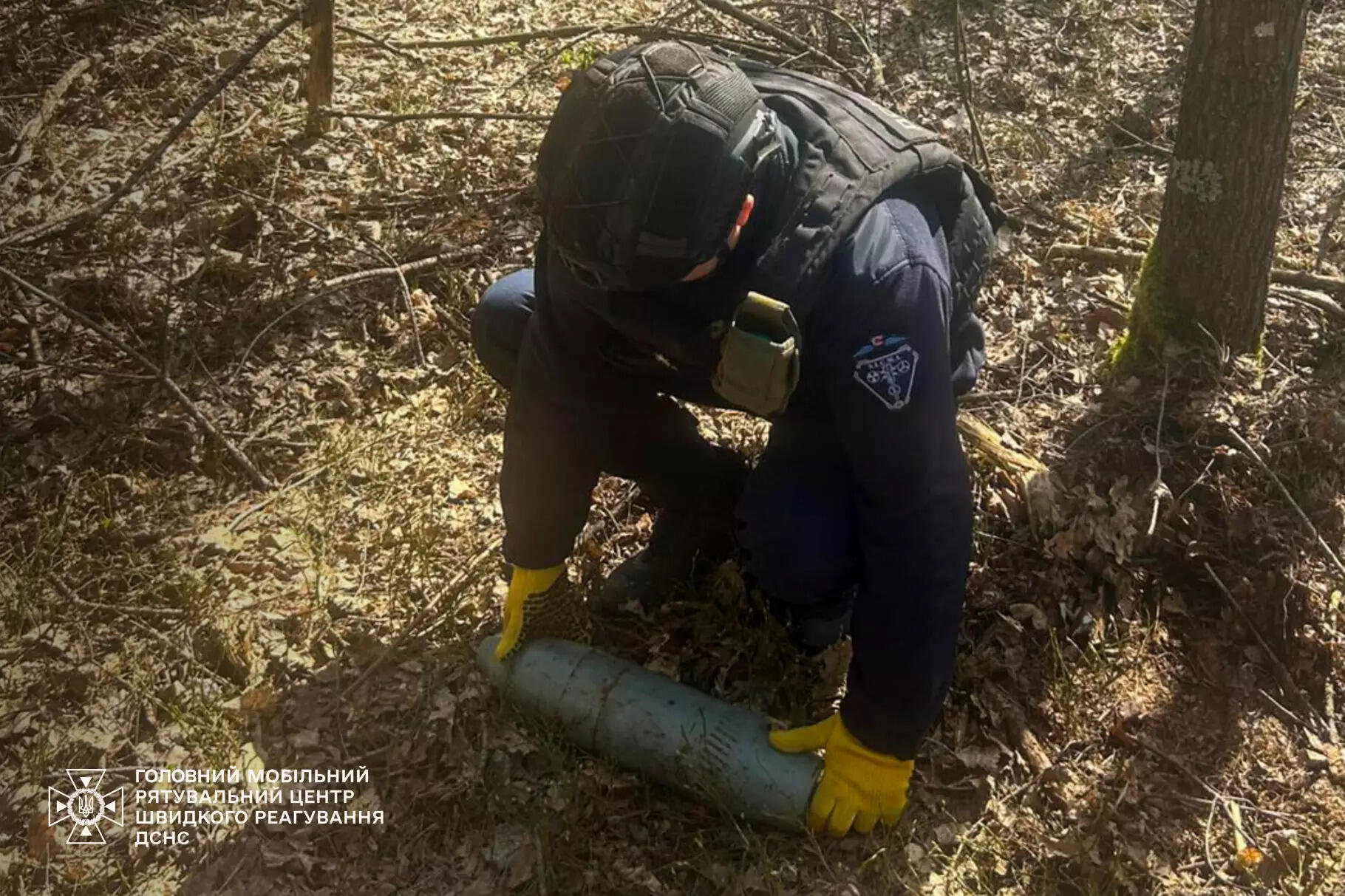 У лісі Вишгородщини виявили мінометну міну НОНА
