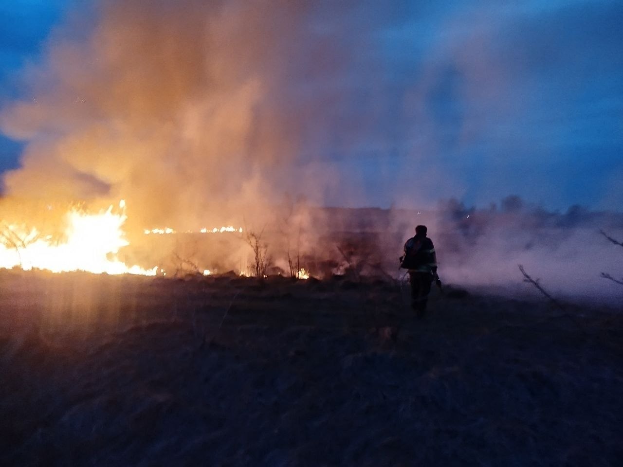 Вогонь спалахнув на відкритій місцевості поблизу Нижчої Дубечні