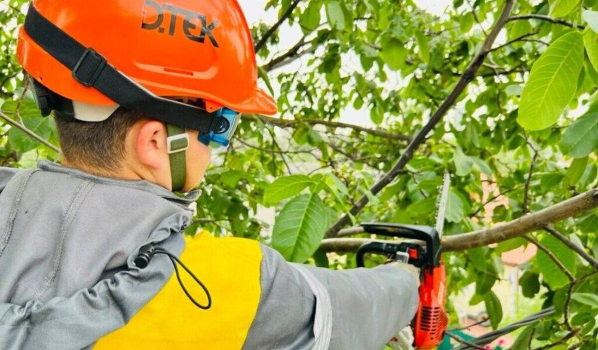 На Київщині очищено 1500 км трас електромереж від гілок