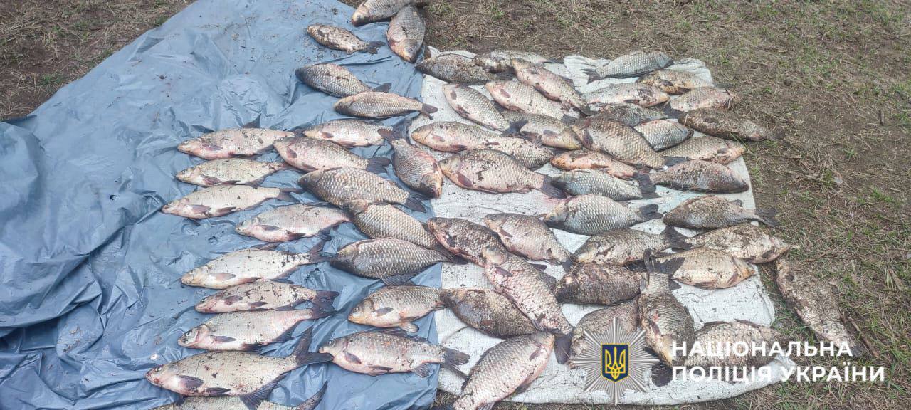 На Вишгородщині виявили браконьєра під час нересту риби